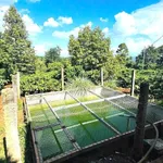 Bán 4.200m2 đất nông nghiệp có vườn cà phê tại Phường Tân Lập, Đắk Lắk - Ảnh thu nhỏ 2
