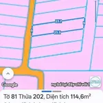 Bán đất nền Bàu Trâm Long Khánh 115 m² 1,2 tỷ - Ảnh thu nhỏ 1