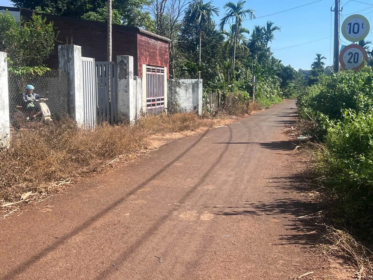Bán lô đất hẻm 205, Nguyễn Thái Bình, Bình Tân, 100m2, 1 tỷ - Ảnh thu nhỏ 2