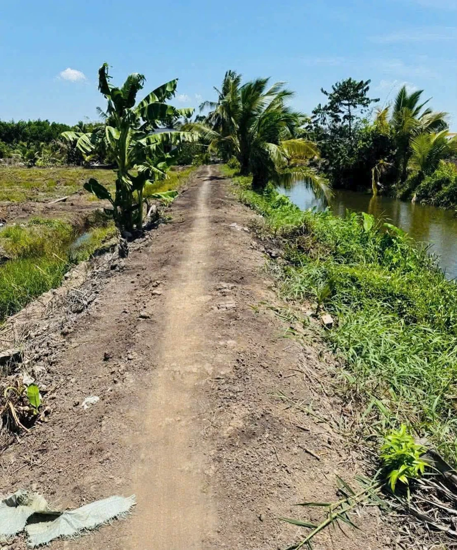 Bán 4.800m² đất vườn Long An, giá 1 tỷ 900 triệu - Ảnh thu nhỏ 5