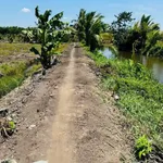 Bán 4.800m² đất vườn Long An, giá 1 tỷ 900 triệu - Ảnh thu nhỏ 5