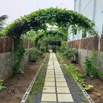 Bán nhà sân vườn 900m² 2PN Tây Ninh 3tỷ600tr - Ảnh thu nhỏ 4