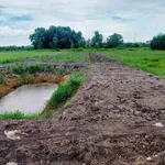 Bán đất vườn cây lâu năm 1.059m2 tại Phú An, gần cầu Ông Cộ - Ảnh thu nhỏ 3