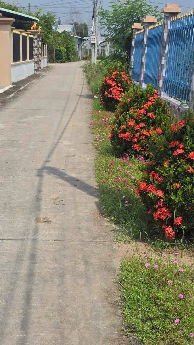 Bán đất 240m² thổ cư, 653.7m² lúa ở Long An - 2.6 tỷ - Ảnh thu nhỏ 3