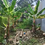 Bán đất 100m2 An Thạnh Bến Lức giá 800 triệu - Ảnh thu nhỏ 1