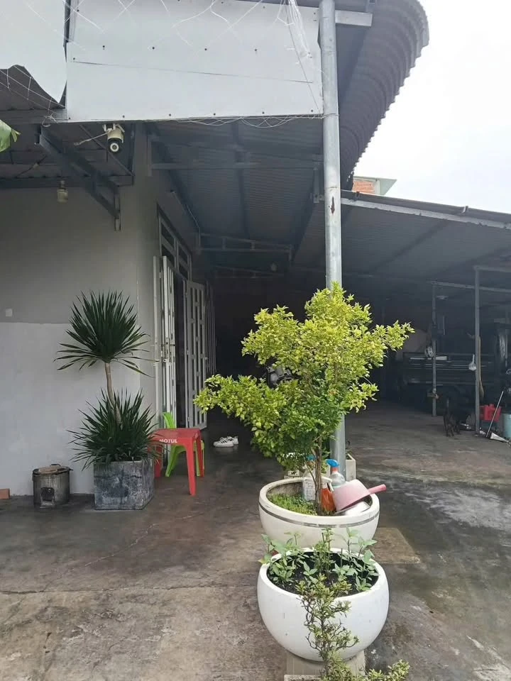 Bán nhà 109m² Tân Hưng 1 tỷ 250 - Ảnh thu nhỏ 4