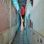 Bán nhà cấp 4 + 7 phòng trọ 198.6m², Dĩ An - Ảnh thu nhỏ 4