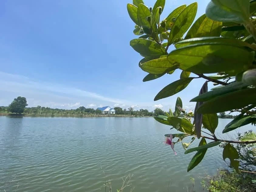 Bán 8 lô đất vườn view Hồ Trị An 1000m² – 1,1 tỷ/lô - Ảnh 1