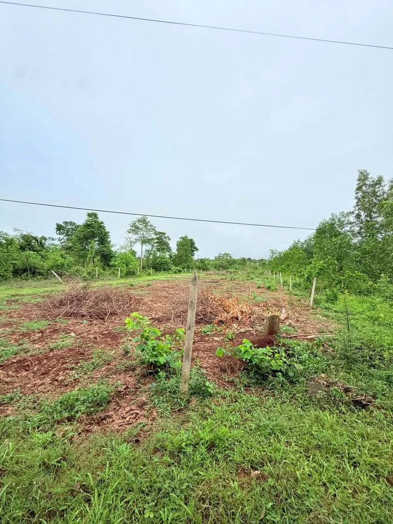 Bán đất mặt tiền 2.200m² Xuân Lộc, Đồng Nai 1,5 tỷ - Ảnh thu nhỏ 2