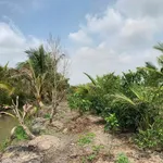 Bán đất 13.000m² Thới Lai, Nhà Bè giá 2.58 tỷ - Ảnh thu nhỏ 4