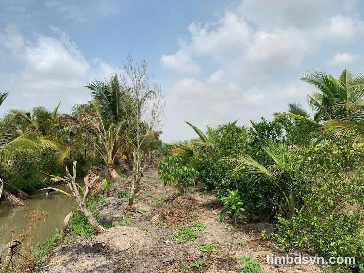 Bán đất 13.000m² Thới Lai, Nhà Bè giá 2.58 tỷ - Ảnh thu nhỏ 4