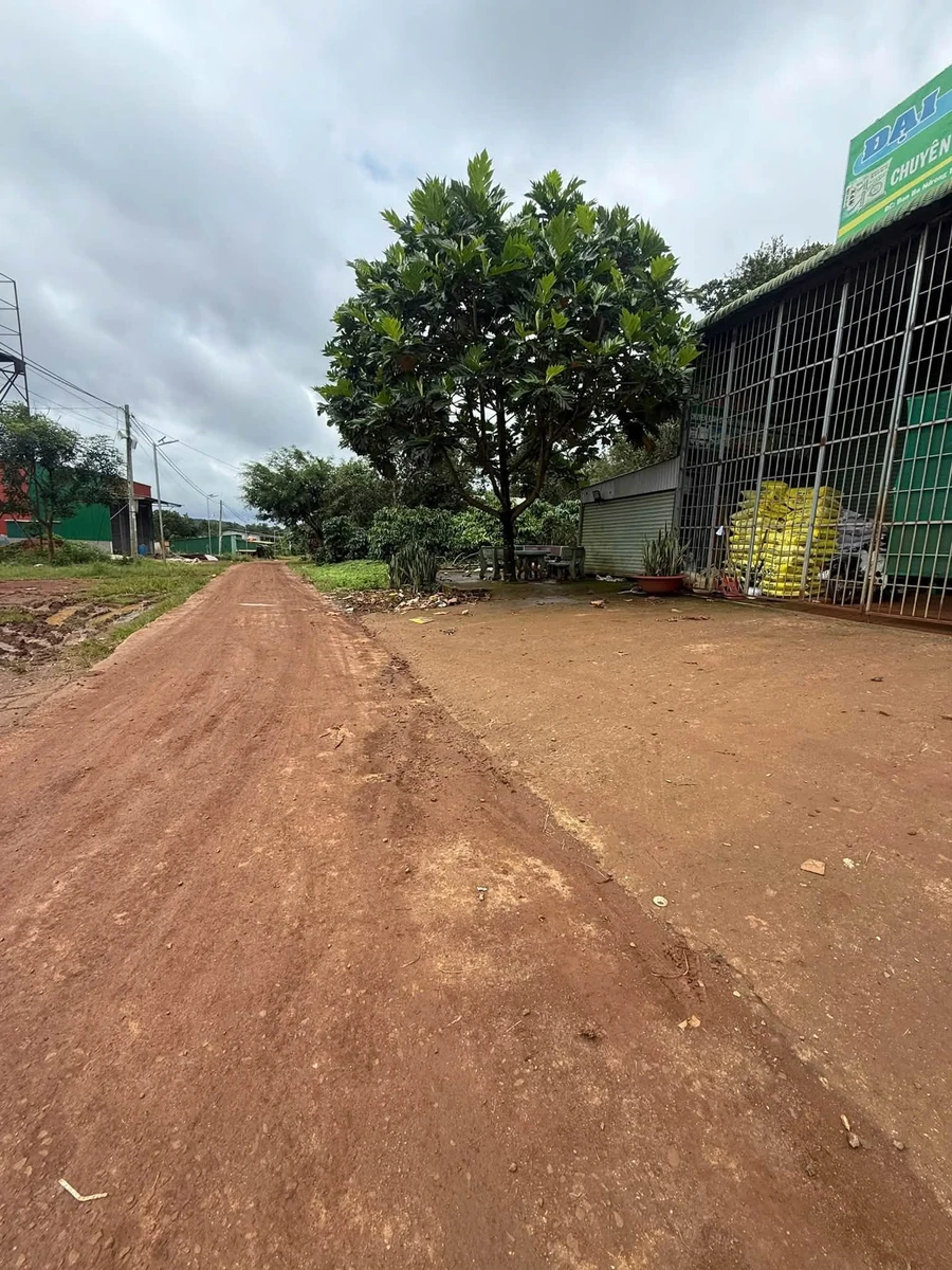 Bán đất 2,8ha trồng cà phê Tuy Đức 3 tỷ 990 triệu - Ảnh 1