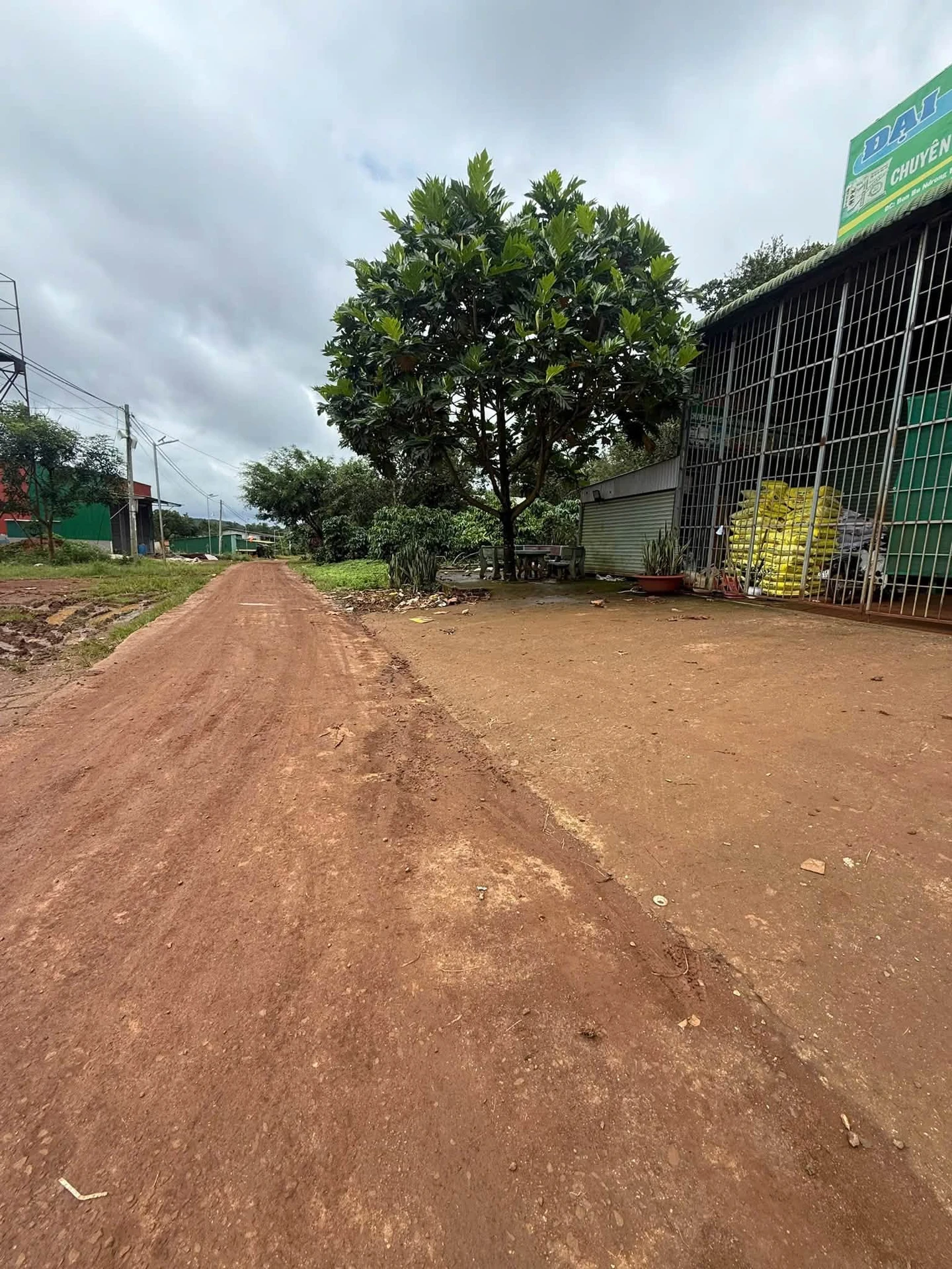 Bán đất 2,8ha trồng cà phê Tuy Đức 3 tỷ 990 triệu - Ảnh 1
