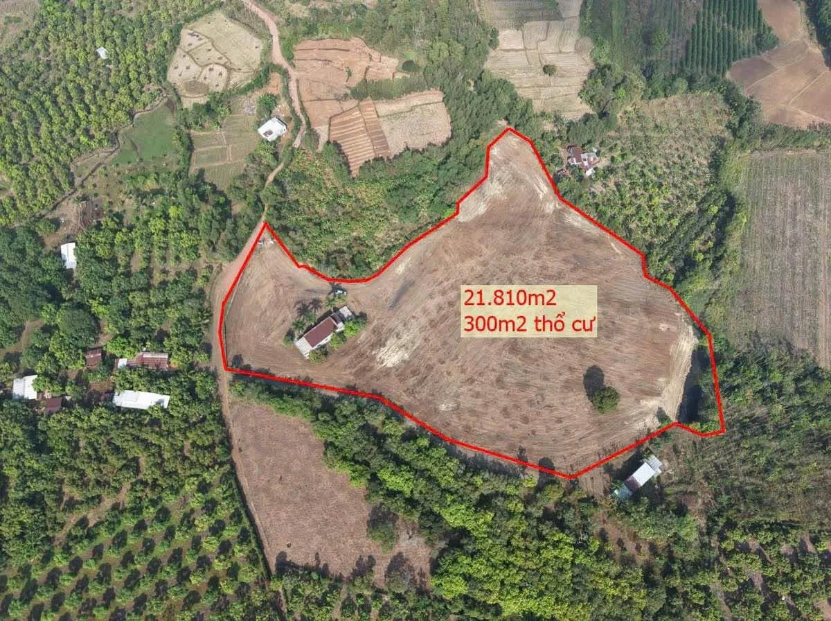 Bán đất vườn Xuân Lộc 21.810m² view núi, 7,6 tỷ - Ảnh thu nhỏ 5