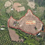 Bán đất vườn Xuân Lộc 21.810m² view núi, 7,6 tỷ - Ảnh thu nhỏ 5