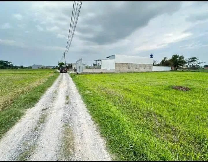 Bán 1000m2 đất có 300m2 thổ cư, sổ hồng riêng tại Mỹ Hạnh Nam, Đức Hòa, Long An - Ảnh thu nhỏ 4