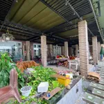 Cho thuê mặt bằng kinh doanh 250m² mặt tiền Đường 3/2, Rạch Giá 15 triệu/tháng - Ảnh thu nhỏ 4