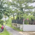Bán đất thổ cư 125m² Bến Lức Tây Ninh 820 triệu - Ảnh thu nhỏ 2