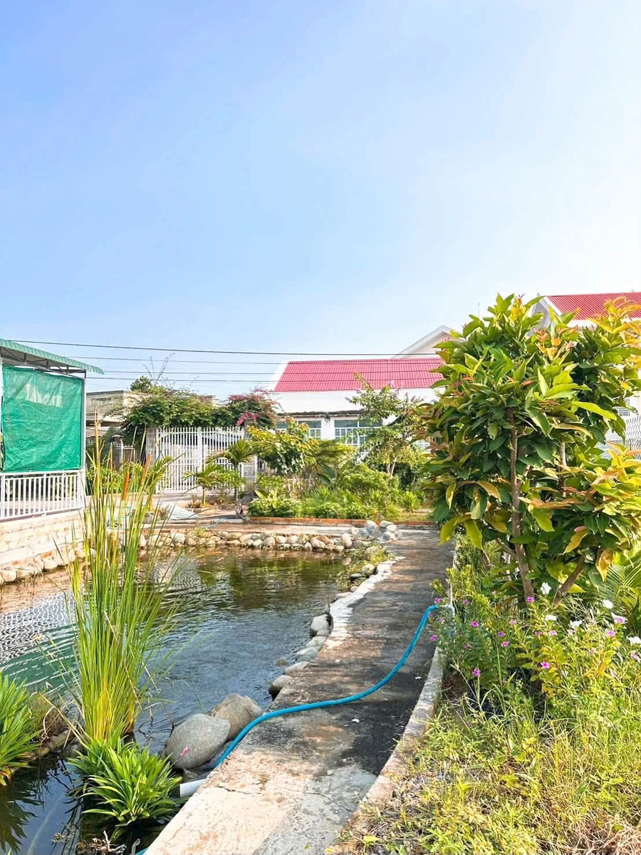 Bán nhà vườn 445m² 2 mặt tiền Bình Thuận - Ảnh thu nhỏ 4
