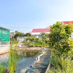 Bán nhà vườn 445m² 2 mặt tiền Bình Thuận - Ảnh thu nhỏ 4