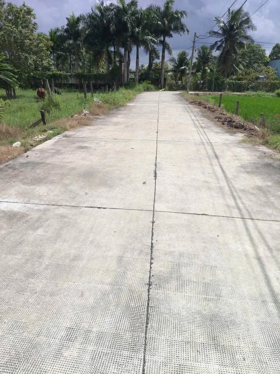 Bán lô thổ cư 164m² Áp Bình Tây, Tân Trụ, Long An - Ảnh 1