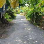 Bán đất 1.304m2 Hậu Giang tặng căn nhà - Ảnh thu nhỏ 2