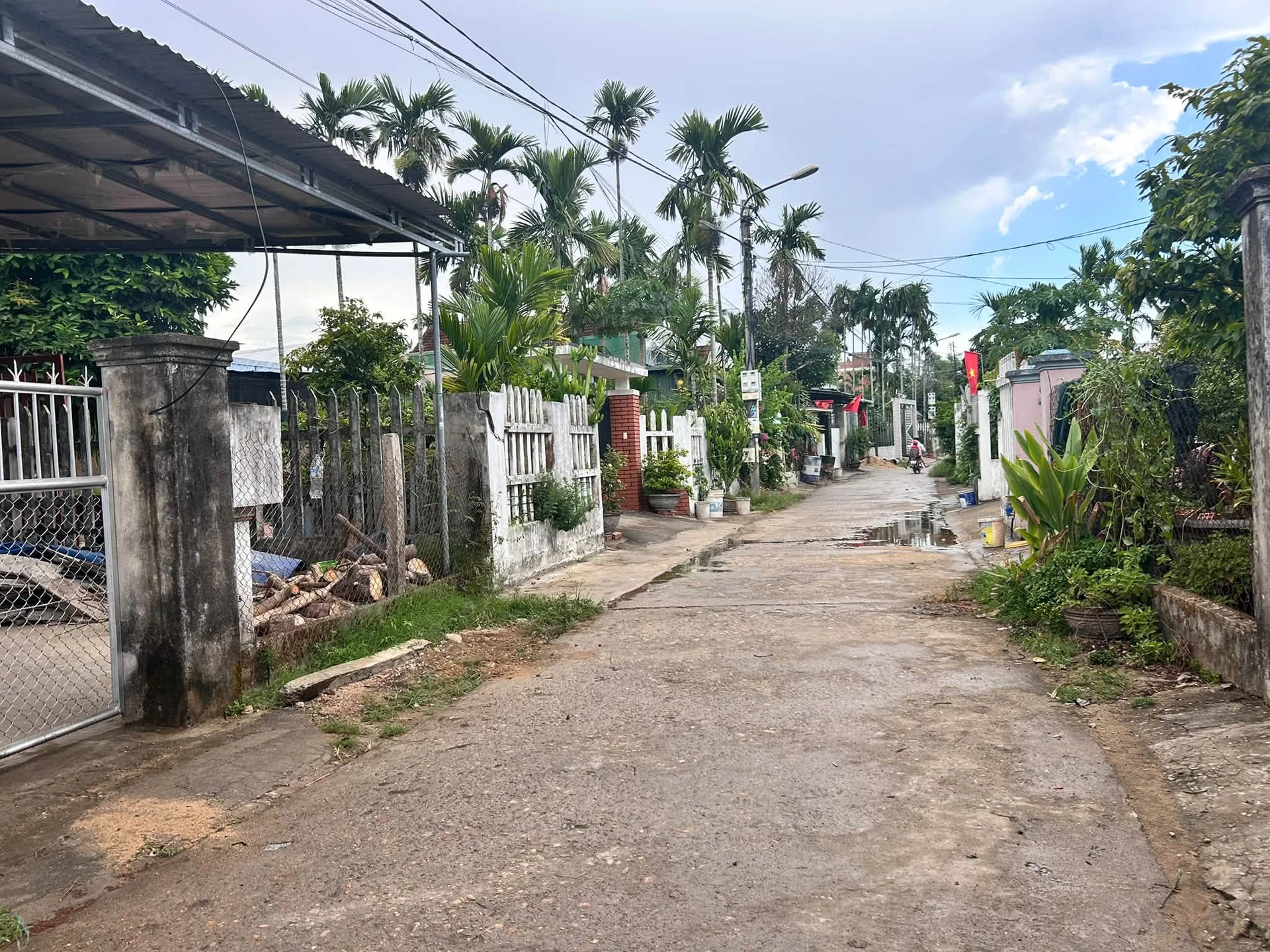 Bán lô đất hẻm Hoàng Văn Thụ 75m2 590 triệu - Ảnh 1
