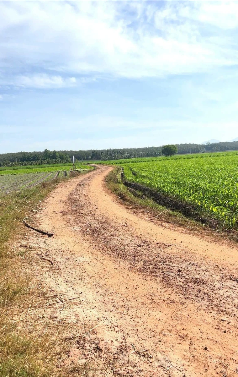 Bán 2000m² đất LUC Châu Thành Tây Ninh 400 triệu - Ảnh 1