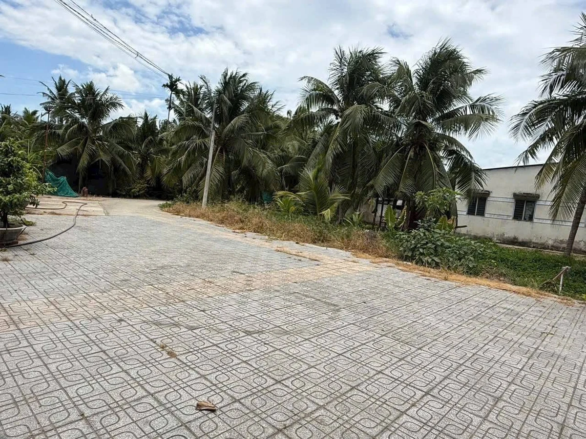 Bán nền đất 576m² Phú Hưng Bến Tre 690 triệu - Ảnh thu nhỏ 5