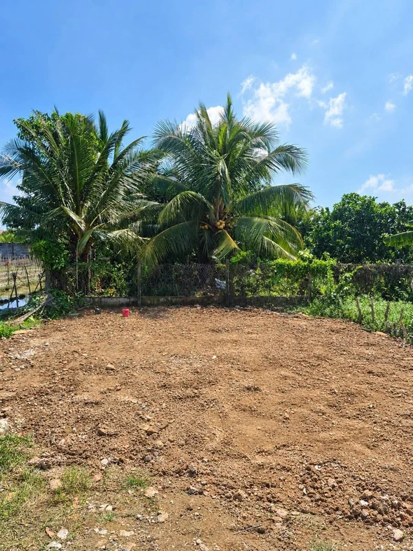Bán đất nền 59m² Phường 5 Tân An Long An