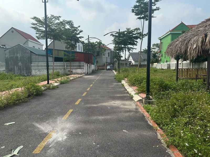 Bán đất thổ cư 100m2 TĐC Bắc Hạ, Quang Tiến, Sóc Sơn, Hà Nội