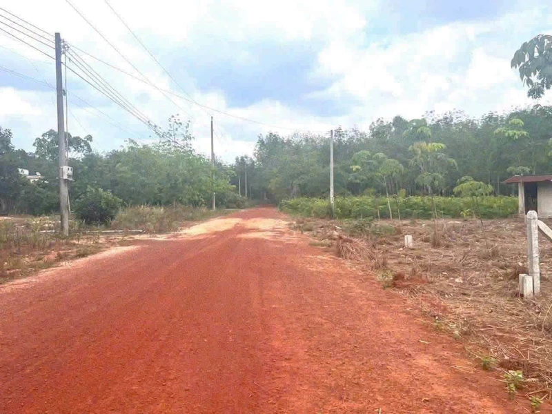 Bán 1.2 ha đất Dầu Tiếng Bình Dương, 2 tỷ 650