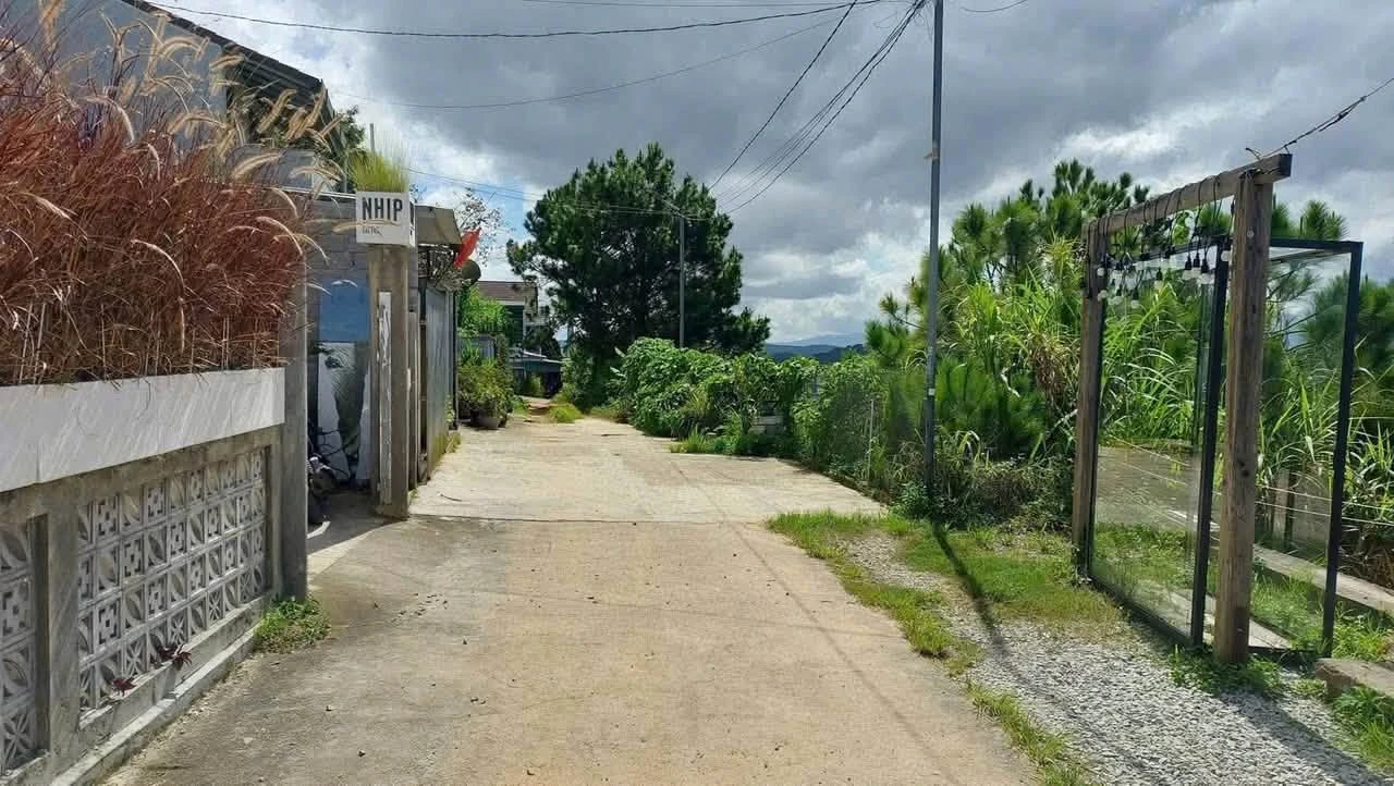 Bán nhà 192m² 8 phòng ngủ view thung lũng Đà Lạt 9,6 tỷ - Ảnh 1