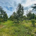 Bán đất vườn 2800m² Phường Tân An Nhà Bè, 5.5 tỷ - Ảnh thu nhỏ 2