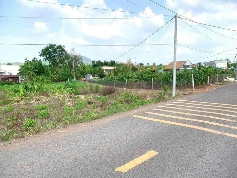 Bán 1.136m² đất mặt tiền Nhựa Sông Thao Bàu Hàm - 2.050 tỷ - Ảnh thu nhỏ 2