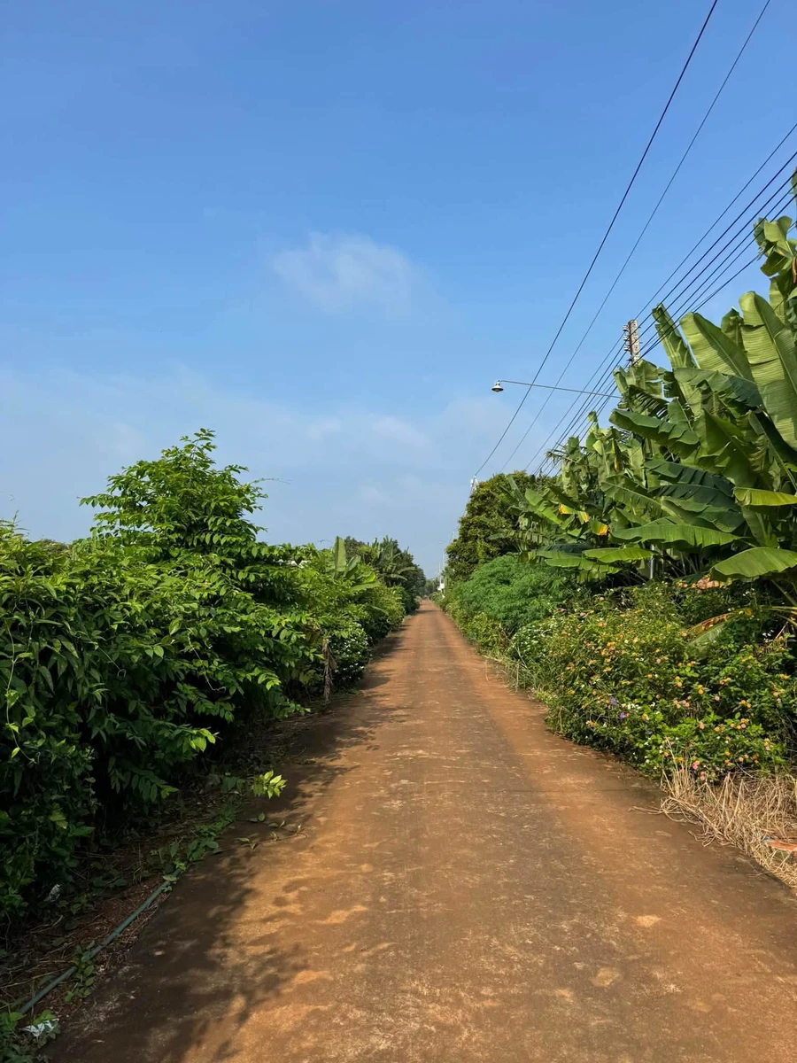Bán đất Hóc Môn 3000m2, giá 4,6 tỷ - Ảnh thu nhỏ 2