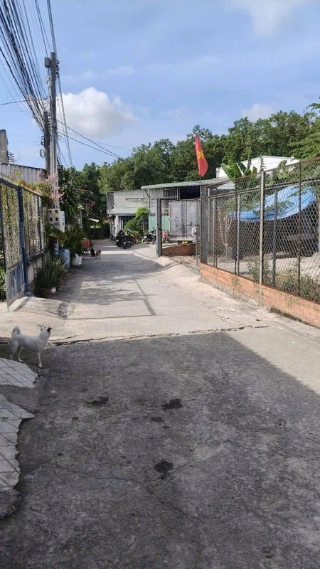 Bán lô đất Tân Uyên 550m² 3.8 tỷ