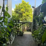 Nhà vườn 3PN view núi Bảo Lâm, Lâm Đồng 560m², 2,5 tỷ - Ảnh thu nhỏ 4