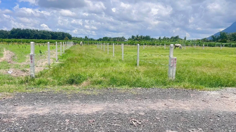 Bán lô đất công 1000m² Suối Đá Tây Ninh 529 triệu