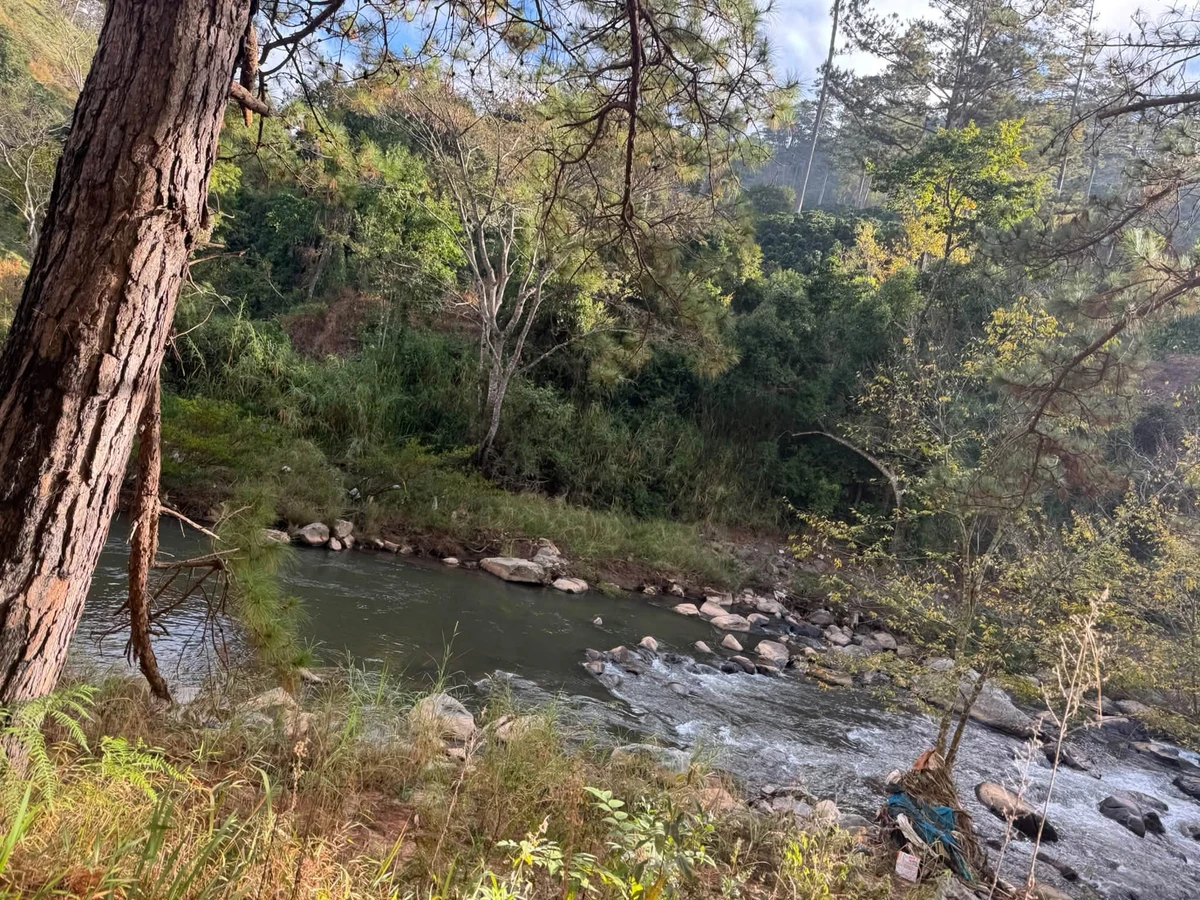 Bán 8ha đất Bãi Ruộng 2 view suối, giá 200 triệu/1.000m², xã Đạ Sar, Lạc Dương, Lâm Đồng - Ảnh thu nhỏ 3