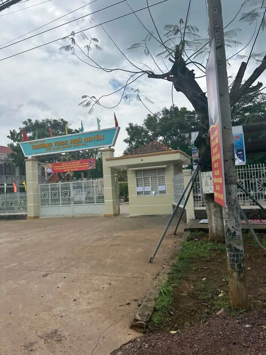Bán đất 95m² Bảo Vinh Long Khánh 480 triệu - Ảnh thu nhỏ 5