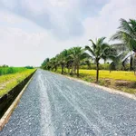 Bán đất Gò Dầu Tây Ninh 250-270m² từ 540 triệu - Ảnh thu nhỏ 3