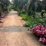 Bán 1.300m2 đất vườn dừa giá 1,1 tỷ tại xã Châu Hưng, Vĩnh Long - Ảnh thu nhỏ 1