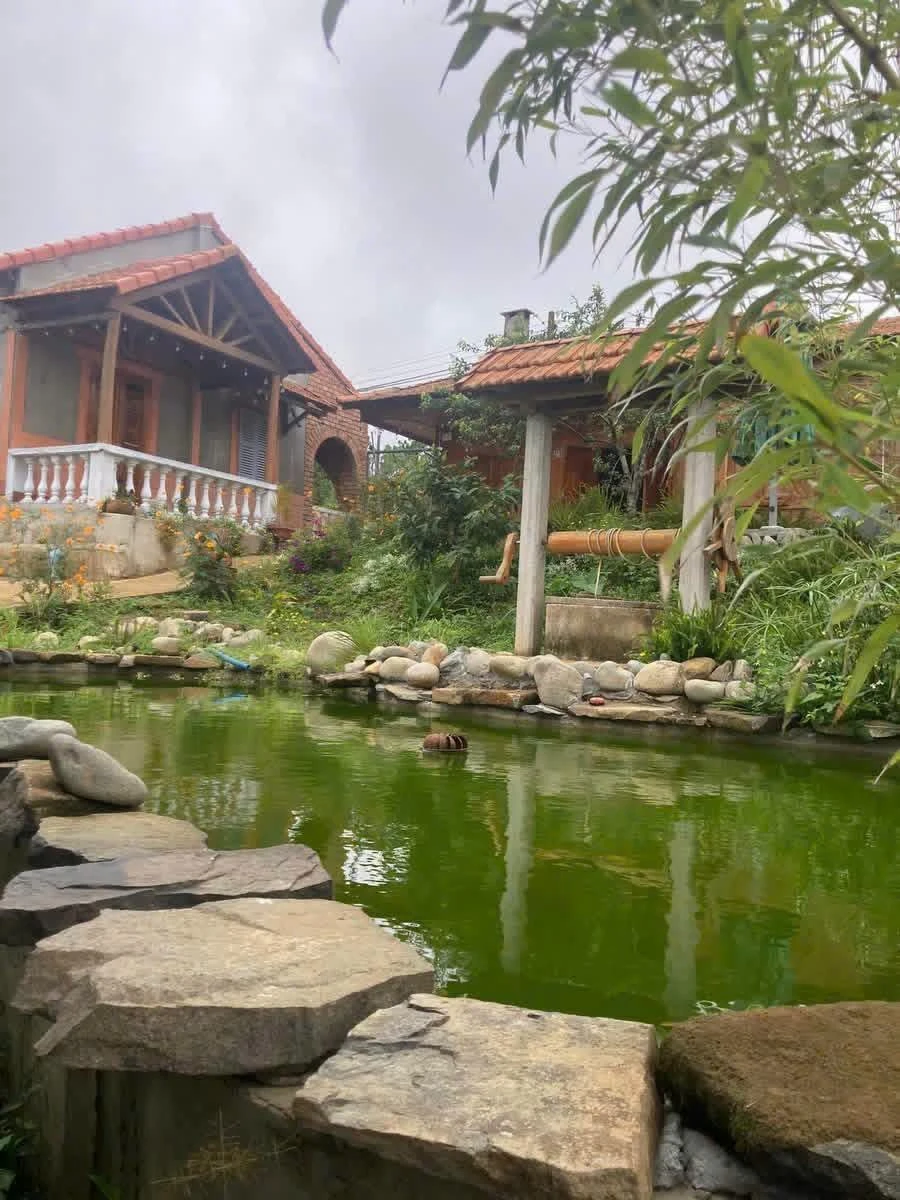 Biệt thự vườn 8000m² Đà Lạt giá 20 tỷ - Ảnh thu nhỏ 5