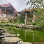 Biệt thự vườn 8000m² Đà Lạt giá 20 tỷ - Ảnh thu nhỏ 5