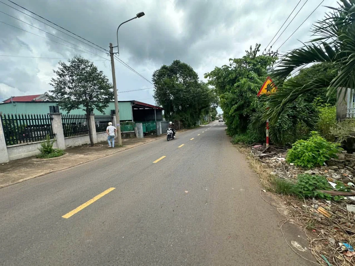 Bán đất 1.778 m² mặt tiền đường, gần chợ Láng Me, Xuân Đông, Đồng Nai - Ảnh thu nhỏ 3
