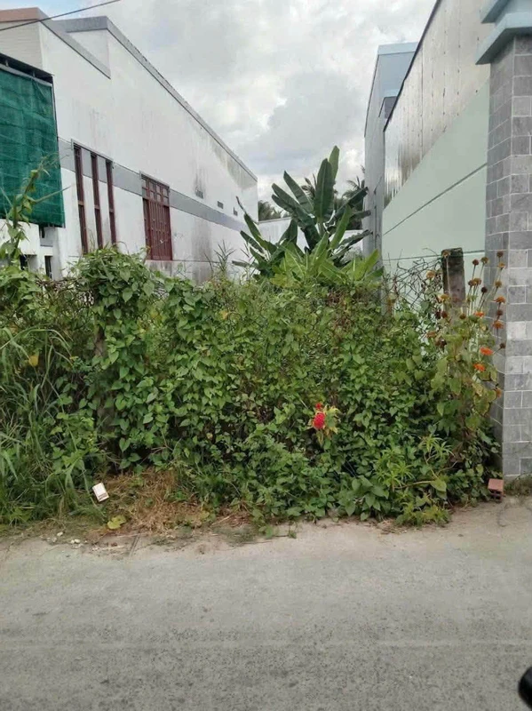 Bán nền đất 150m² tại xã Bình Phú, Vĩnh Long