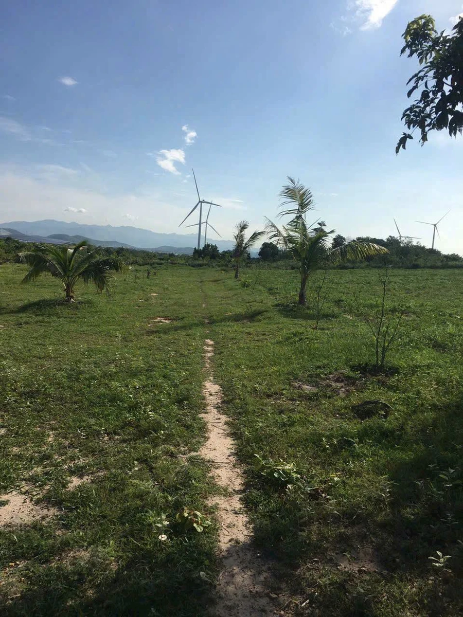 Bán 26.000 m2 đất nông nghiệp Bình Thuận 190 triệu/1000m2 - Ảnh thu nhỏ 2