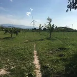 Bán 26.000 m2 đất nông nghiệp Bình Thuận 190 triệu/1000m2 - Ảnh thu nhỏ 2