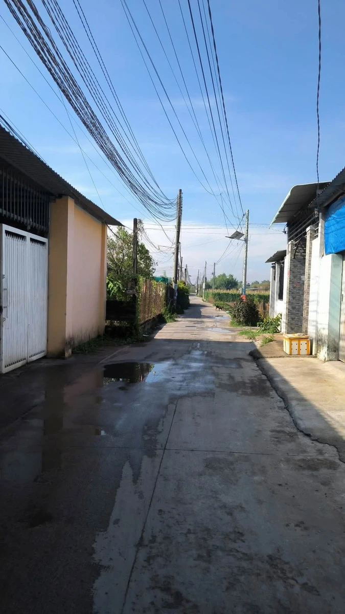 Bán nhà vườn 320m2 thổ cư Hóc Môn - Ảnh thu nhỏ 4